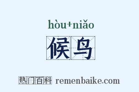 候鸟是什么意思的图片